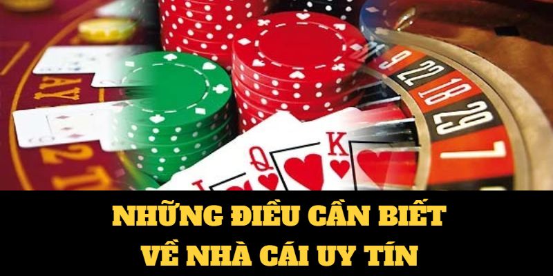 Tổng quan về nhà cái vbet89.com cho người mới